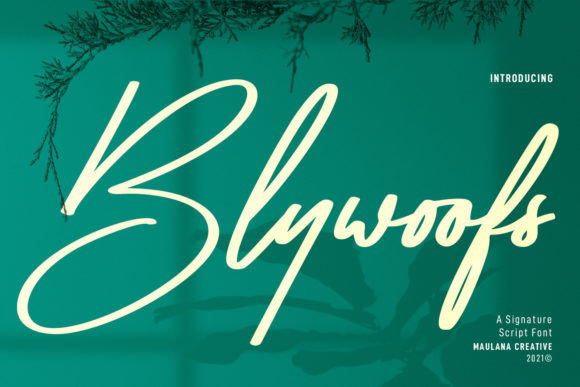Blywoofs: A Premium Script Font for Brand Identity