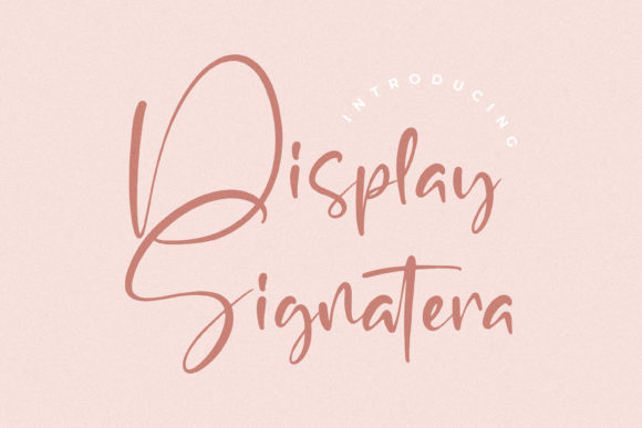 Display Signatera: A Designer’s Go-To Script Font for Elegant Branding