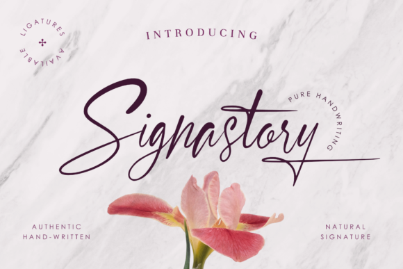 Signastory: A Designer's Real-World Review