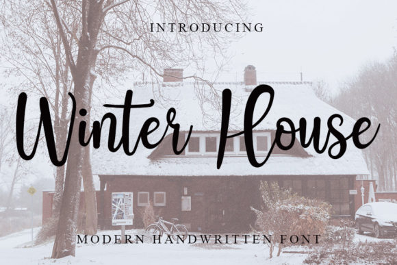 Winter House Font: A Designer’s Journey Through a Real Branding Project